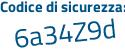 Il Codice di sicurezza è 2c segue 8e2b2 il tutto attaccato senza spazi