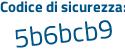 Il Codice di sicurezza è 987 poi 5dc8 il tutto attaccato senza spazi