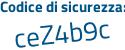 Il Codice di sicurezza è 2Z segue 93165 il tutto attaccato senza spazi