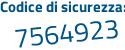 Il Codice di sicurezza è Z9 continua con 1abZf il tutto attaccato senza spazi