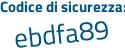 Il Codice di sicurezza è 9 continua con 19814Z il tutto attaccato senza spazi