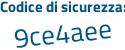 Il Codice di sicurezza è 5891e segue 7Z il tutto attaccato senza spazi