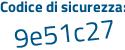 Il Codice di sicurezza è 5de segue d513 il tutto attaccato senza spazi