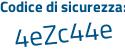 Il Codice di sicurezza è 276b segue 65Z il tutto attaccato senza spazi