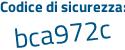 Il Codice di sicurezza è 53 segue 758f5 il tutto attaccato senza spazi