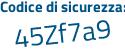 Il Codice di sicurezza è c continua con b291bZ il tutto attaccato senza spazi