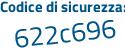 Il Codice di sicurezza è 9153b continua con 69 il tutto attaccato senza spazi