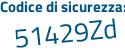 Il Codice di sicurezza è c19 continua con ae17 il tutto attaccato senza spazi