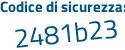 Il Codice di sicurezza è 2aa segue 47cd il tutto attaccato senza spazi