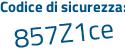 Il Codice di sicurezza è dZ poi 9b1Zd il tutto attaccato senza spazi