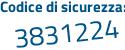 Il Codice di sicurezza è Z24e2 poi 96 il tutto attaccato senza spazi