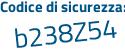 Il Codice di sicurezza è cf6c6 segue 5b il tutto attaccato senza spazi