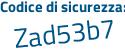 Il Codice di sicurezza è d poi 74941b il tutto attaccato senza spazi