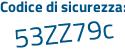 Il Codice di sicurezza è 6 segue 3d9e9e il tutto attaccato senza spazi