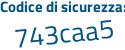 Il Codice di sicurezza è 9 poi 1262d6 il tutto attaccato senza spazi