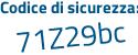 Il Codice di sicurezza è 6Z segue 97Z91 il tutto attaccato senza spazi