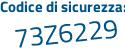 Il Codice di sicurezza è 41 segue Z298d il tutto attaccato senza spazi