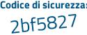 Il Codice di sicurezza è 9 segue b82e46 il tutto attaccato senza spazi