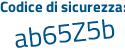 Il Codice di sicurezza è b1e5 continua con 3a5 il tutto attaccato senza spazi