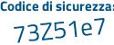 Il Codice di sicurezza è f segue bZ17Zd il tutto attaccato senza spazi