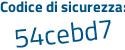 Il Codice di sicurezza è d continua con 2a4f17 il tutto attaccato senza spazi