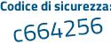 Il Codice di sicurezza è 7 poi 6Zb3d6 il tutto attaccato senza spazi