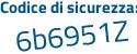 Il Codice di sicurezza è Z segue 7f2b27 il tutto attaccato senza spazi