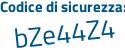 Il Codice di sicurezza è Z9 continua con b8cd8 il tutto attaccato senza spazi