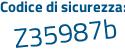 Il Codice di sicurezza è Z6 segue d3e48 il tutto attaccato senza spazi