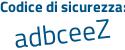 Il Codice di sicurezza è f46c poi 2ec il tutto attaccato senza spazi
