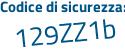 Il Codice di sicurezza è 2d continua con 4b5a5 il tutto attaccato senza spazi