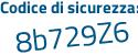 Il Codice di sicurezza è Z segue 5fe6ff il tutto attaccato senza spazi