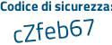 Il Codice di sicurezza è 9b1 segue Zf2f il tutto attaccato senza spazi