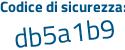 Il Codice di sicurezza è 9b22 segue e53 il tutto attaccato senza spazi
