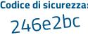 Il Codice di sicurezza è Z1c continua con afe8 il tutto attaccato senza spazi