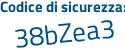 Il Codice di sicurezza è b1Zc segue 9d8 il tutto attaccato senza spazi