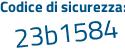 Il Codice di sicurezza è 8 poi 4efc3b il tutto attaccato senza spazi