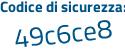 Il Codice di sicurezza è b4 segue 95ce5 il tutto attaccato senza spazi
