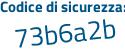 Il Codice di sicurezza è 6Z43 segue 2f7 il tutto attaccato senza spazi