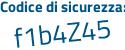 Il Codice di sicurezza è eZZ continua con c21d il tutto attaccato senza spazi