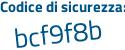 Il Codice di sicurezza è 2 continua con 9a36d1 il tutto attaccato senza spazi