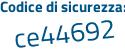 Il Codice di sicurezza è 3a7b continua con 346 il tutto attaccato senza spazi