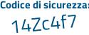 Il Codice di sicurezza è 4a3b segue 49d il tutto attaccato senza spazi