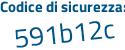 Il Codice di sicurezza è 9 segue 5deb19 il tutto attaccato senza spazi