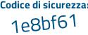 Il Codice di sicurezza è 13 poi d3b87 il tutto attaccato senza spazi