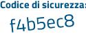 Il Codice di sicurezza è 28ea continua con 5Z4 il tutto attaccato senza spazi