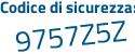 Il Codice di sicurezza è 518c poi 9a1 il tutto attaccato senza spazi