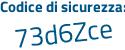 Il Codice di sicurezza è Z6 poi 21b89 il tutto attaccato senza spazi