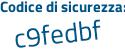 Il Codice di sicurezza è Zbe segue 2543 il tutto attaccato senza spazi