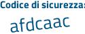 Il Codice di sicurezza è d4Z poi aZ33 il tutto attaccato senza spazi